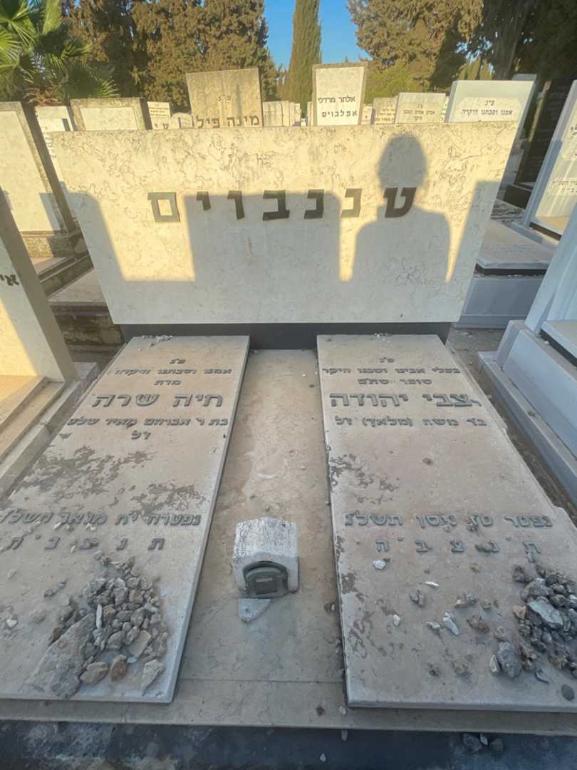 קברו של צבי יהודה טננבוים. תמונה 1