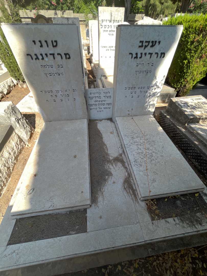 קברו של מאיר מרדינגר. תמונה 1