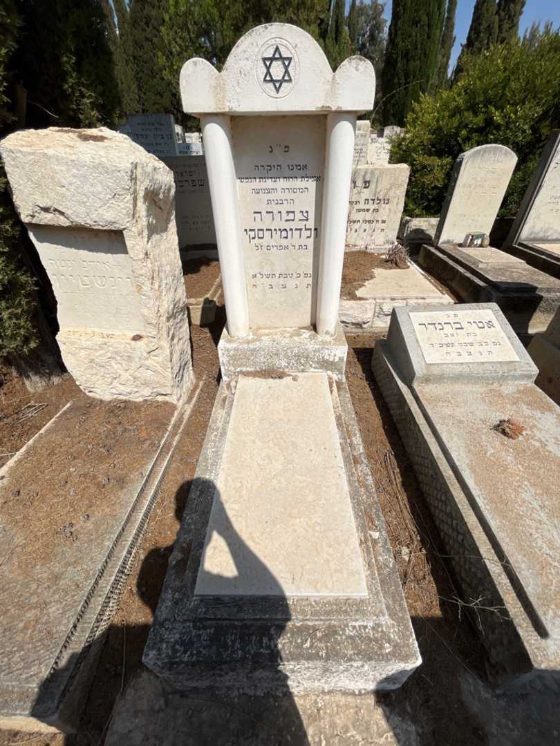 קברו של ולדומירסקי