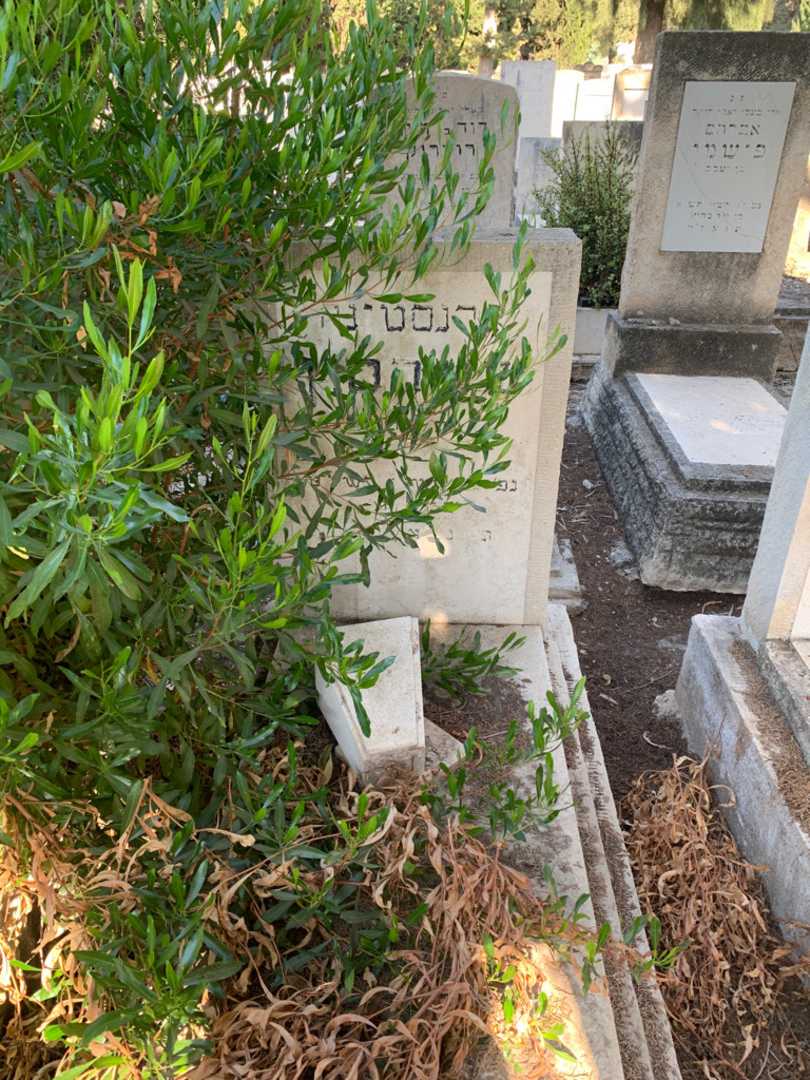קברו של ארנסטינה שנירסון. תמונה 1