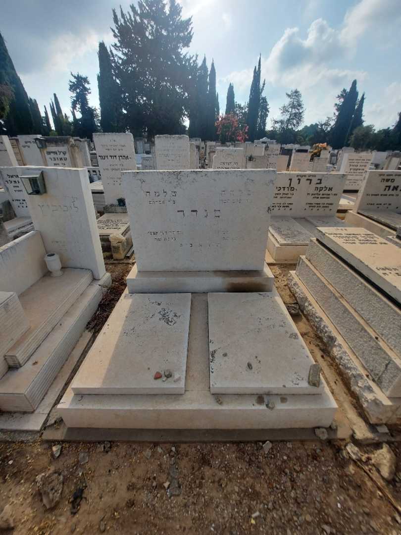 קברו של סלחה סנדר. תמונה 1