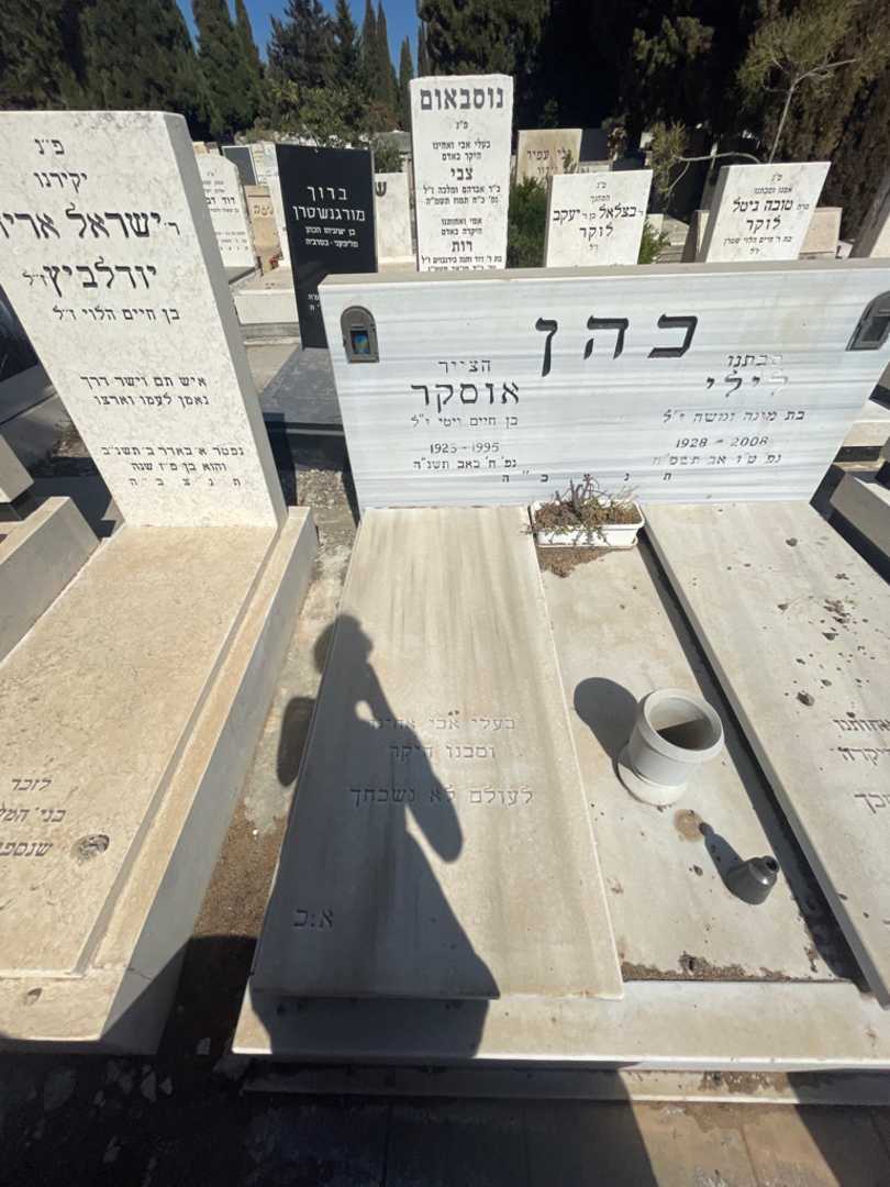 קברו של אוסקר כהן. תמונה 2