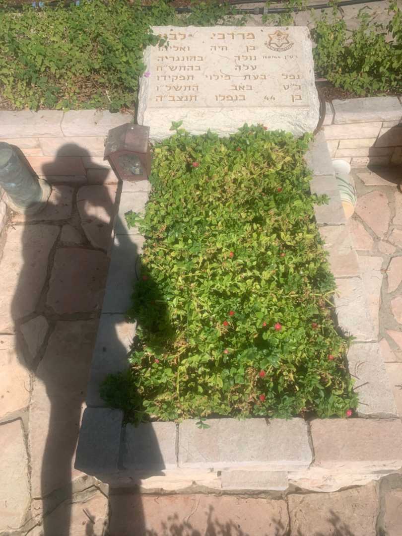 קברו של מרדכי לבון