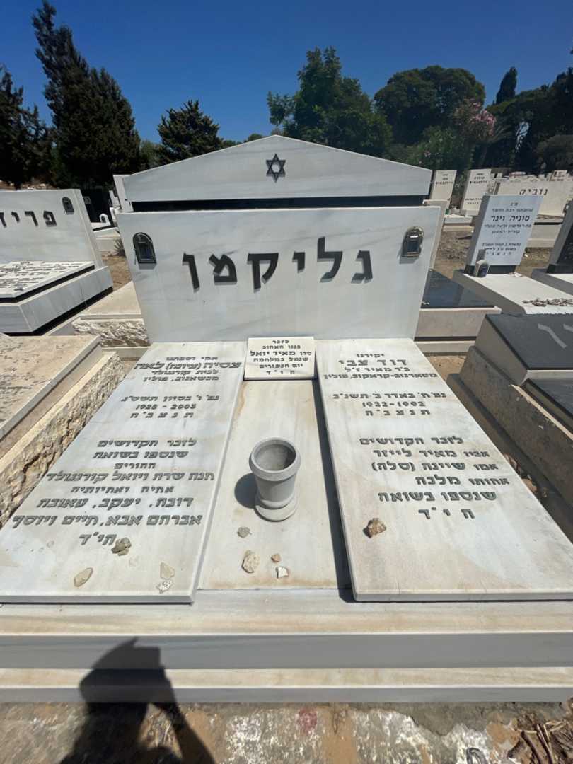 קברו של צסיה לאה "ציונה" גליקמן. תמונה 1