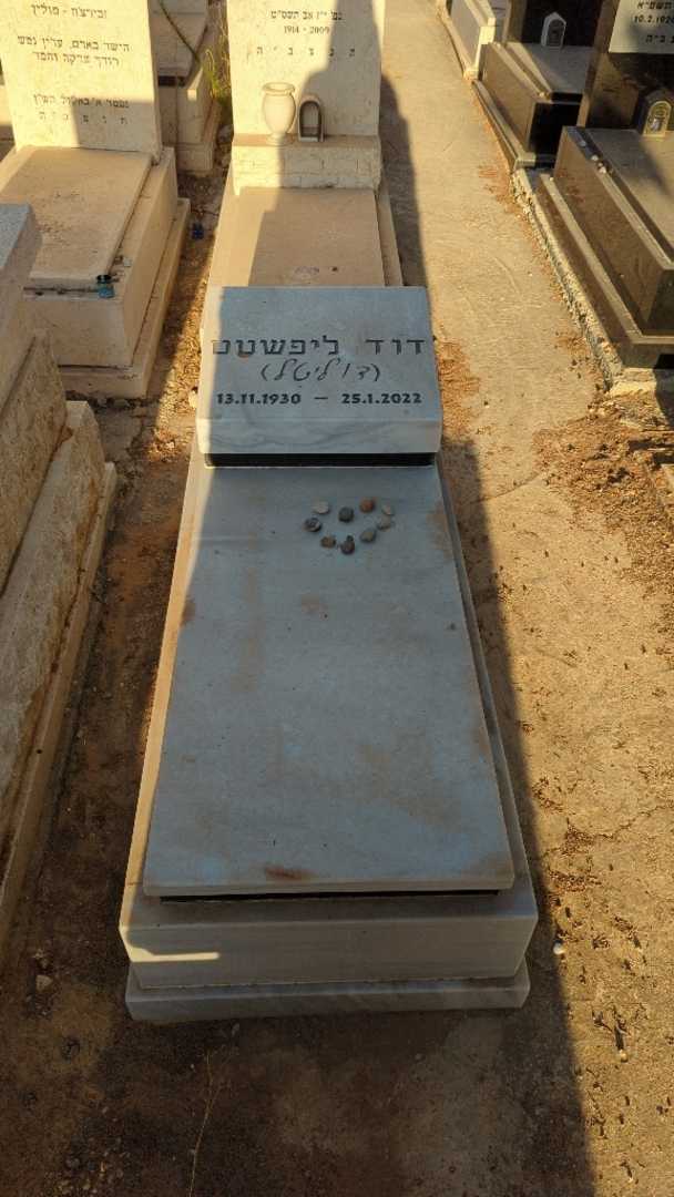 קברו של דוד "דוליטל" ליפשטט