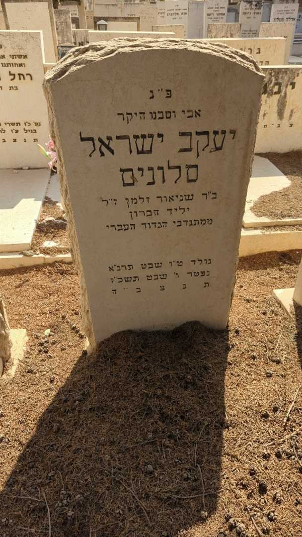 קברו של יעקב ישראל סלונים