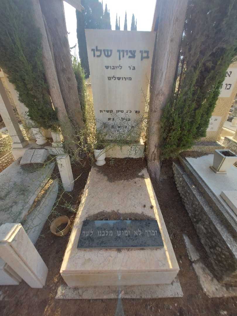 קברו של בן ציון שלו