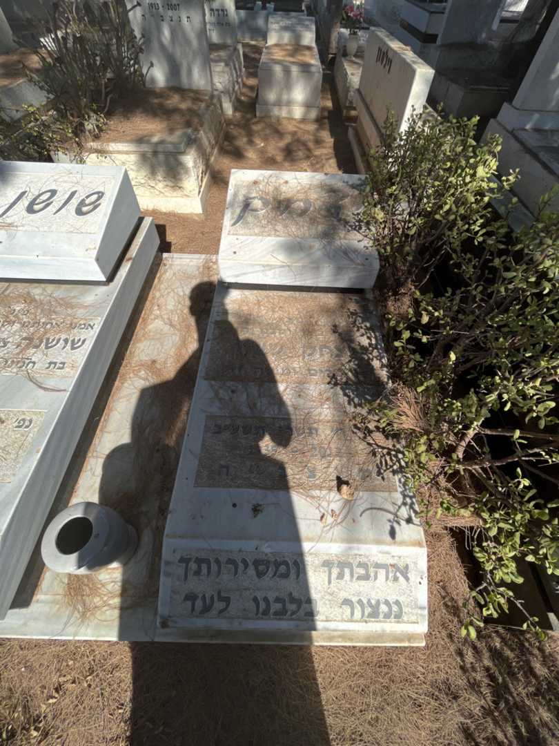 קברו של יצחק ששון. תמונה 1