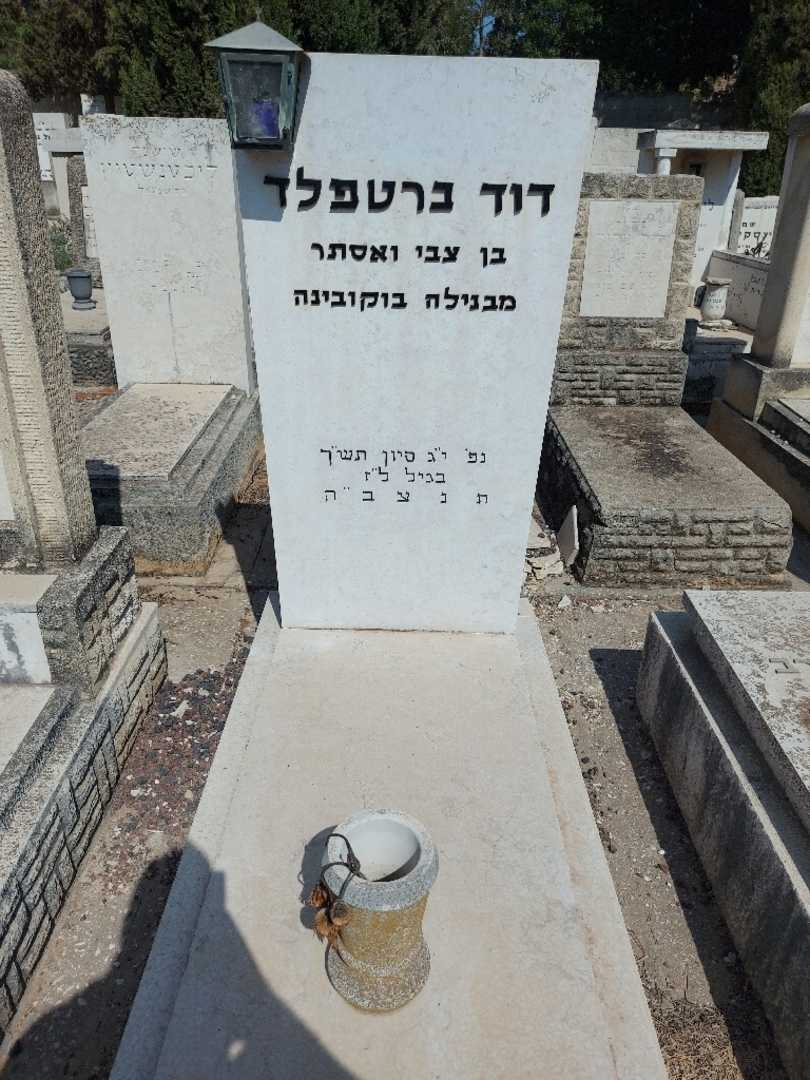 קברו של דוד ברטפלג