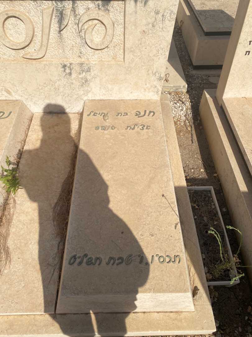 קברו של חנה פינסון. תמונה 1