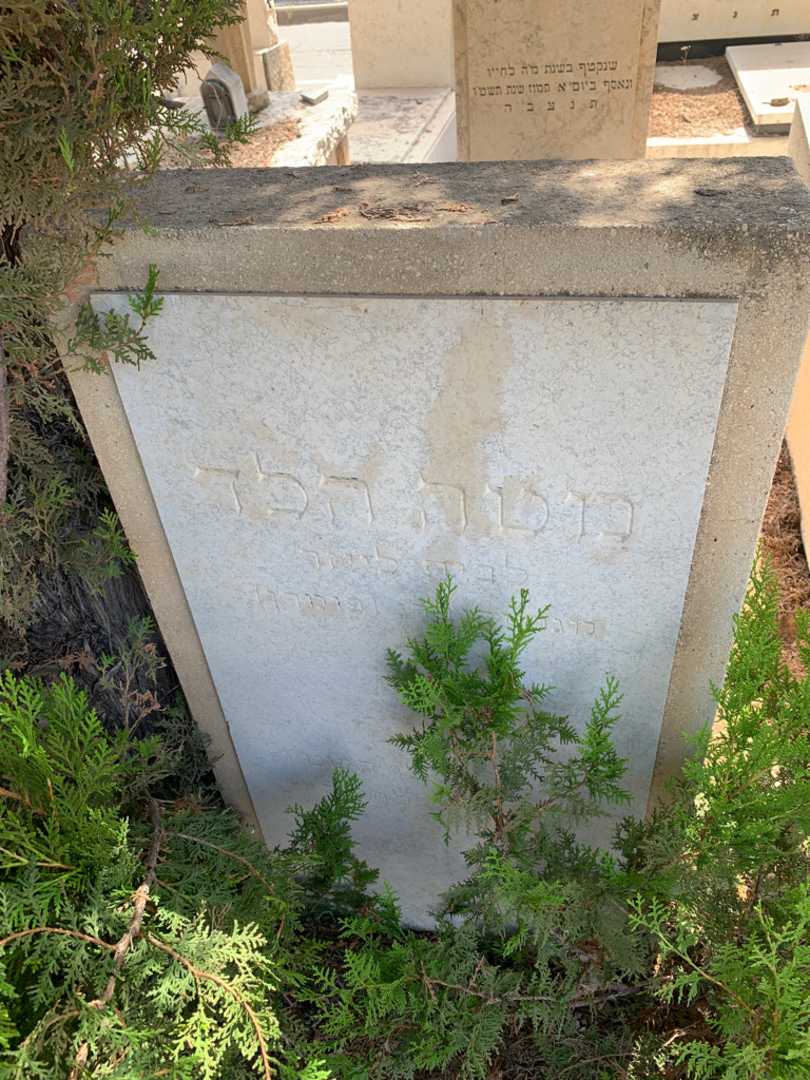 קברו של מטה הלד. תמונה 2