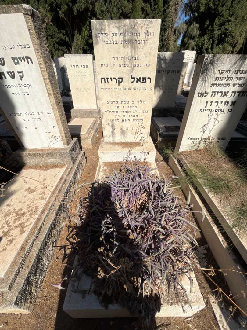 קברו של רפאל קריזה