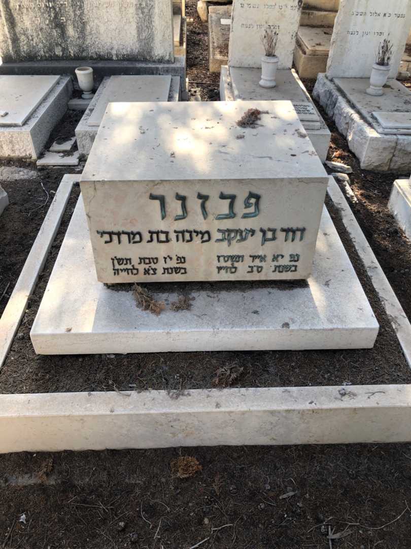 קברו של דוד פבזנר. תמונה 1