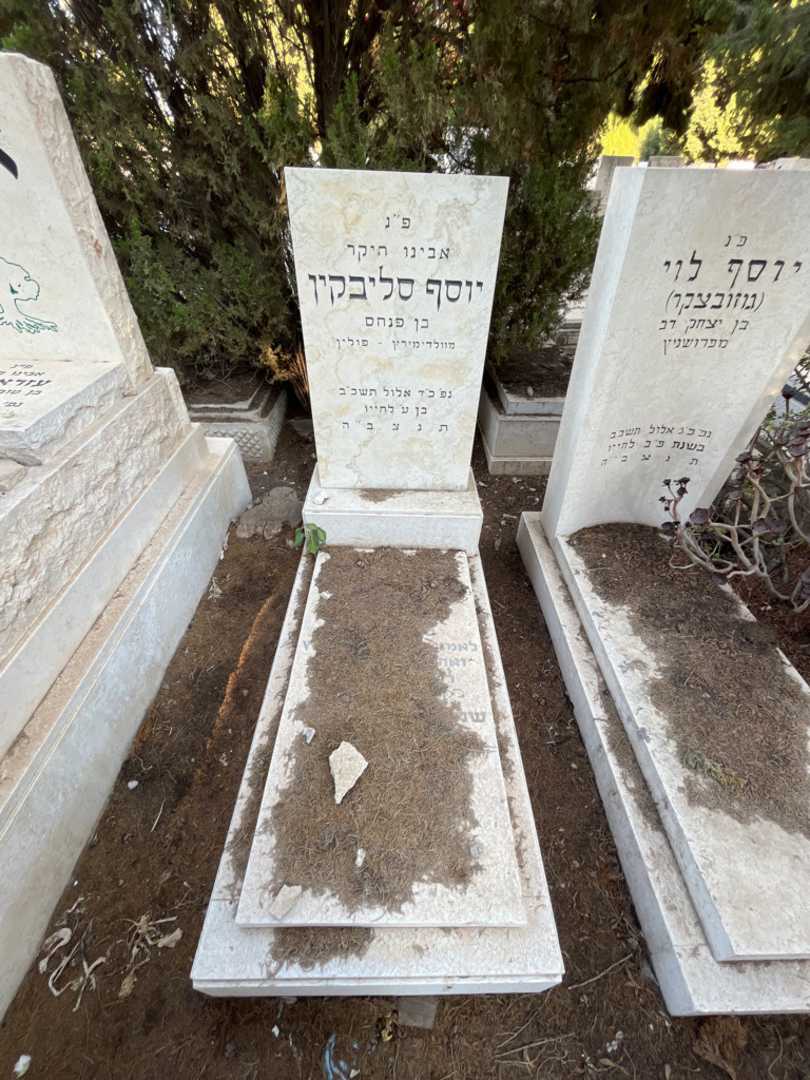 קברו של יוסף סליבקין. תמונה 1