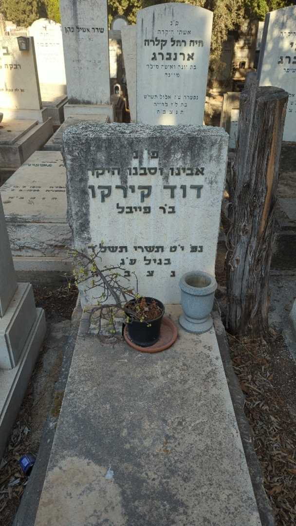 קברו של דוד קירקו