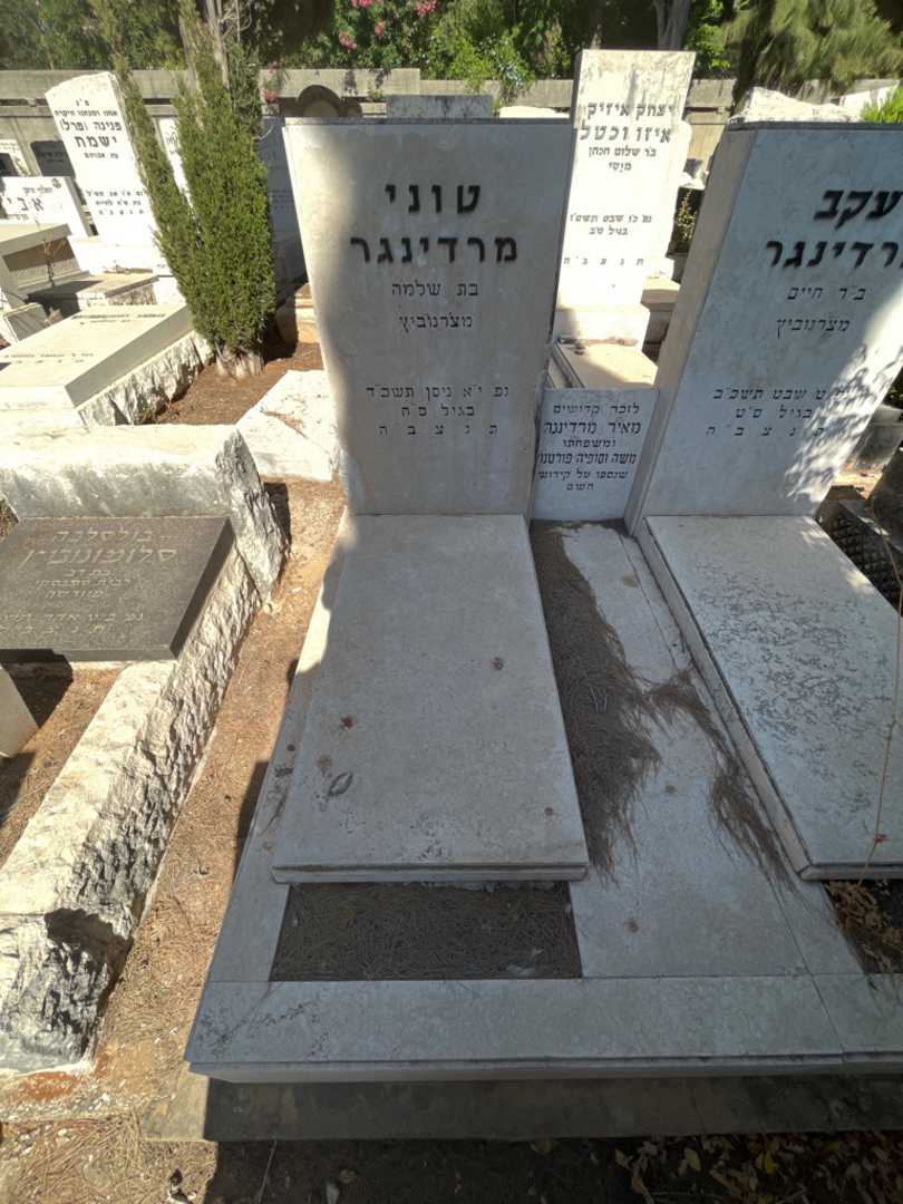 קברו של מאיר מרדינגר. תמונה 2