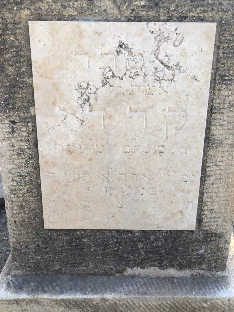 קברו של אסתר קרדי. תמונה 2