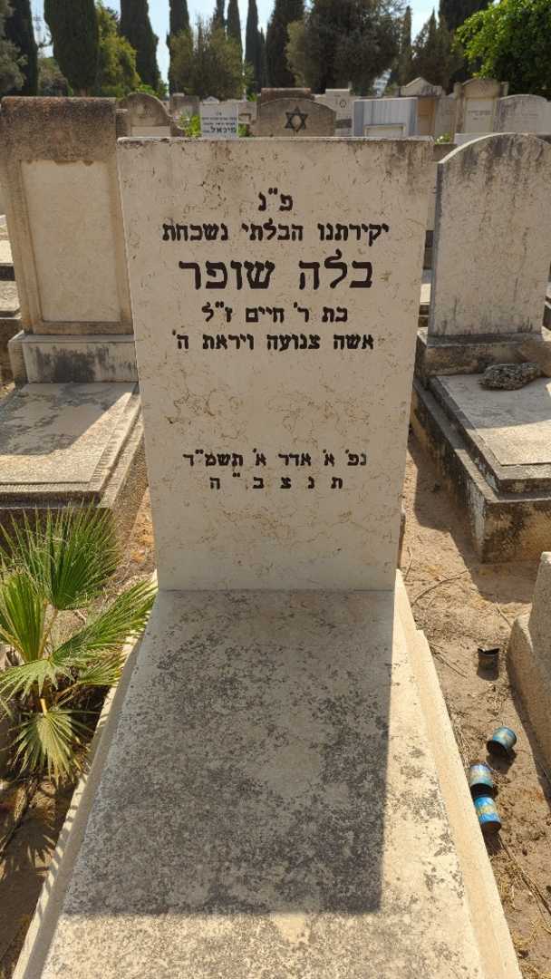 קברו של בלה שופר