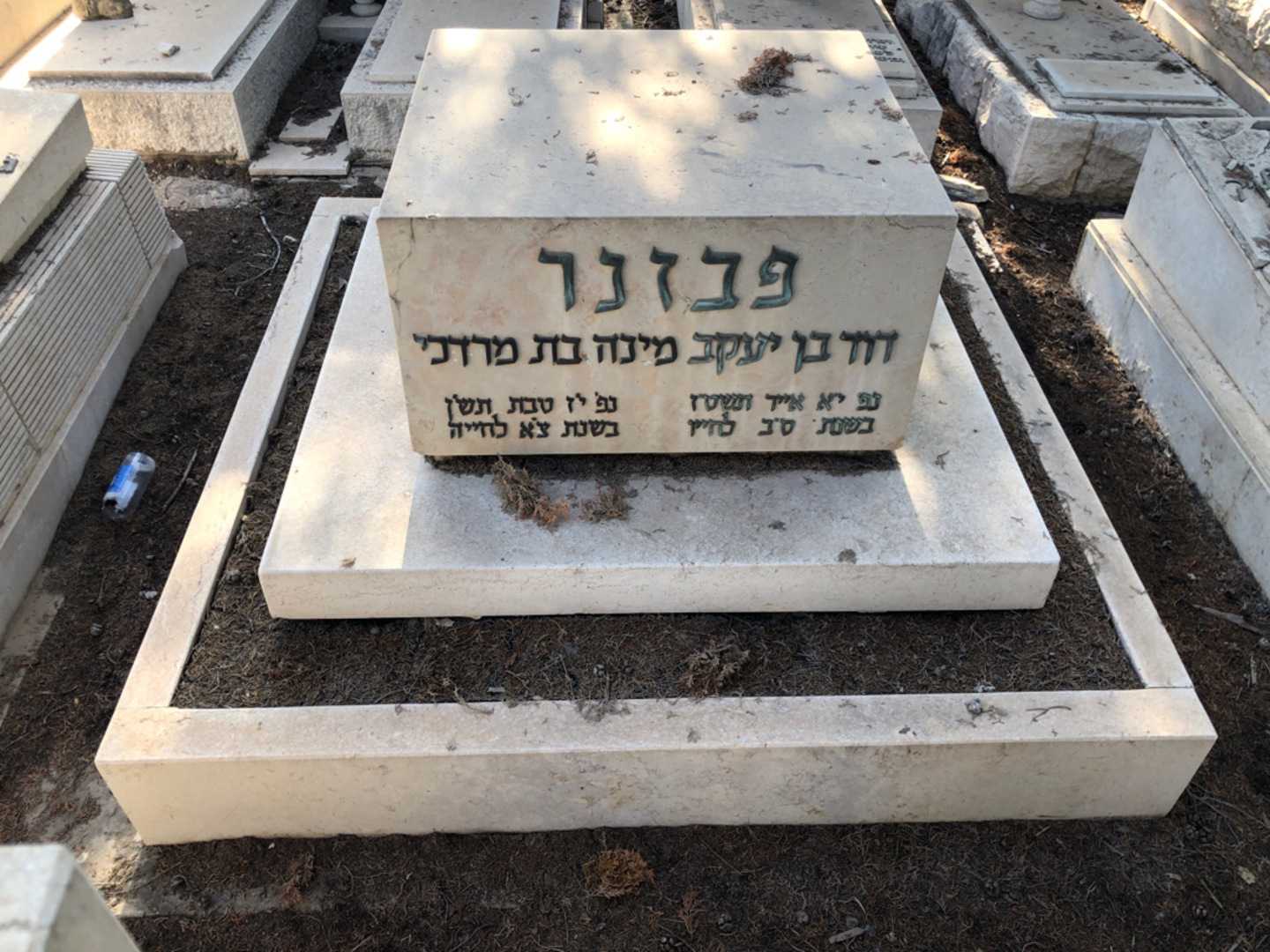 קברו של דוד פבזנר. תמונה 2