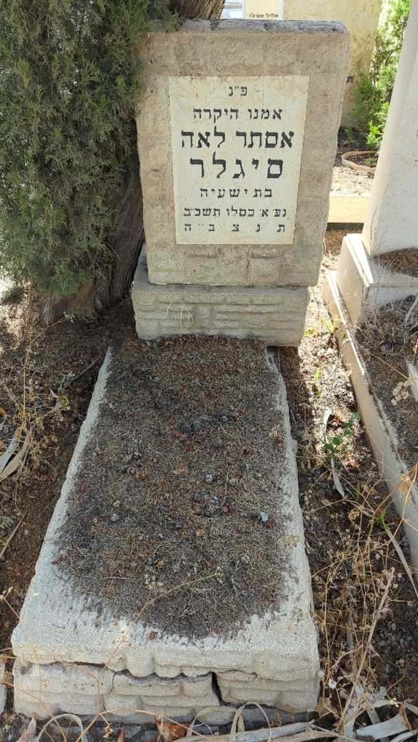 קברו של אסתר לאה סיגלר