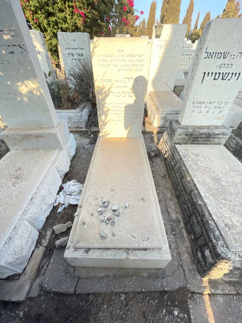 קברו של אהרן שכטר