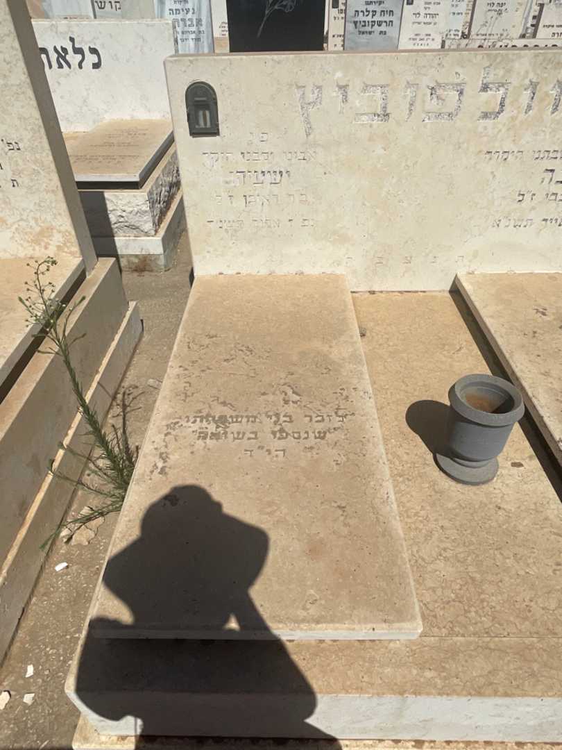 קברו של ישעיהו וולפוביץ. תמונה 2