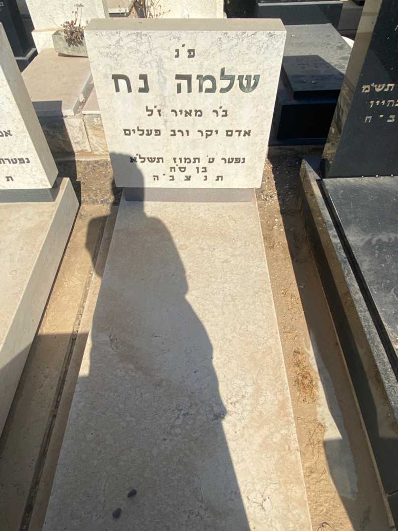 קברו של שלמה נח. תמונה 1