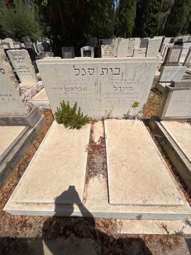 קברו של אברהם דוד בית סגל. תמונה 1