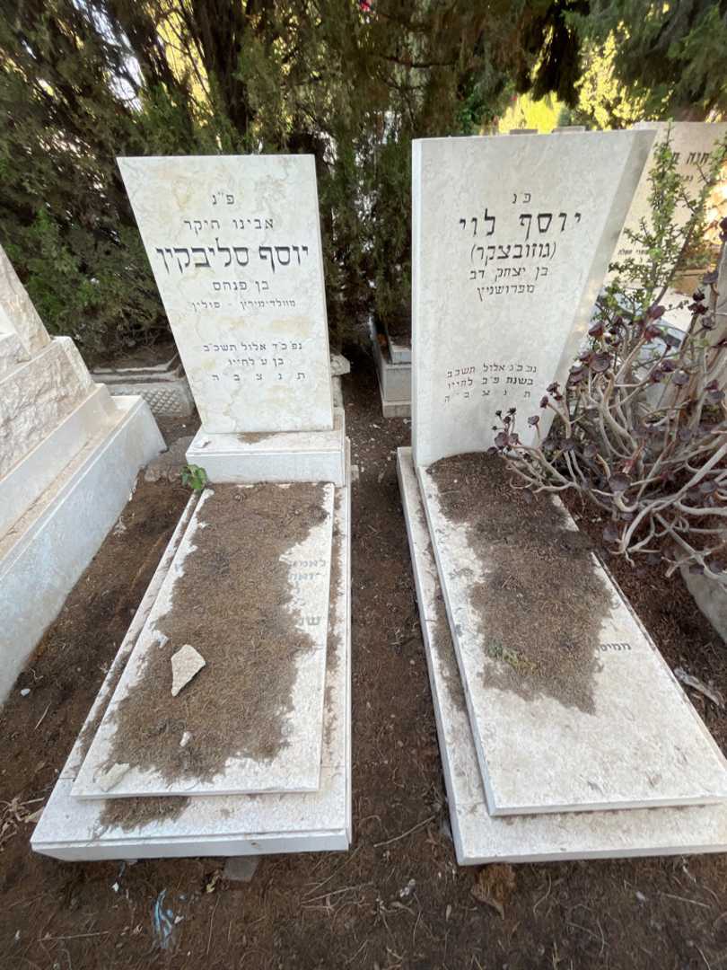 קברו של יוסף סליבקין. תמונה 2