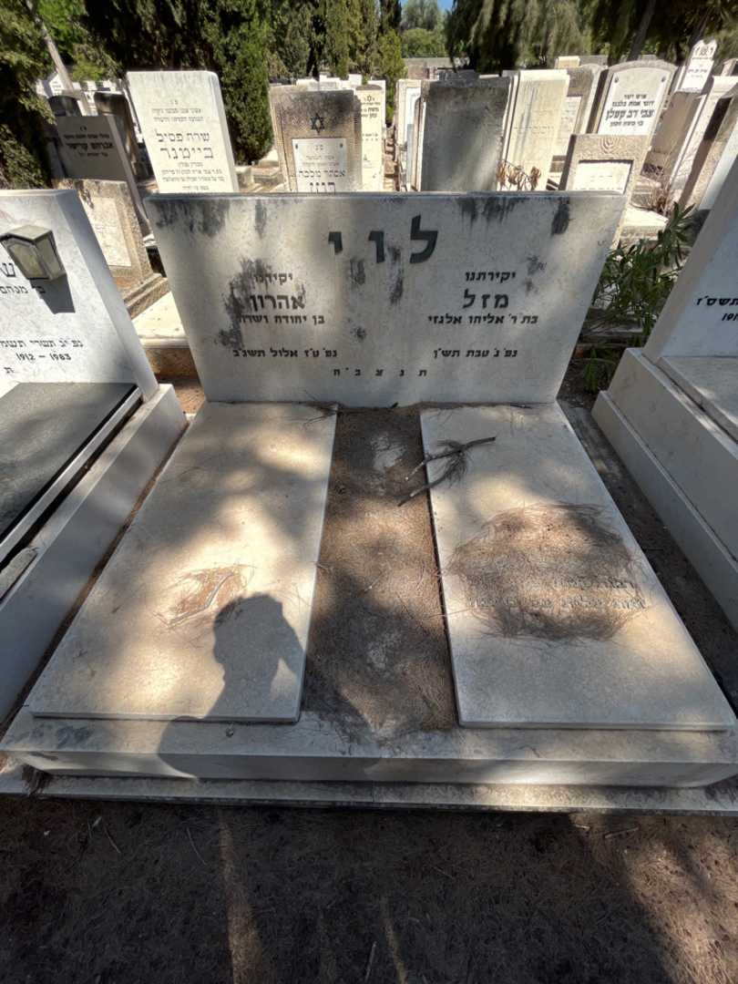 קברו של אהרון לוי. תמונה 1