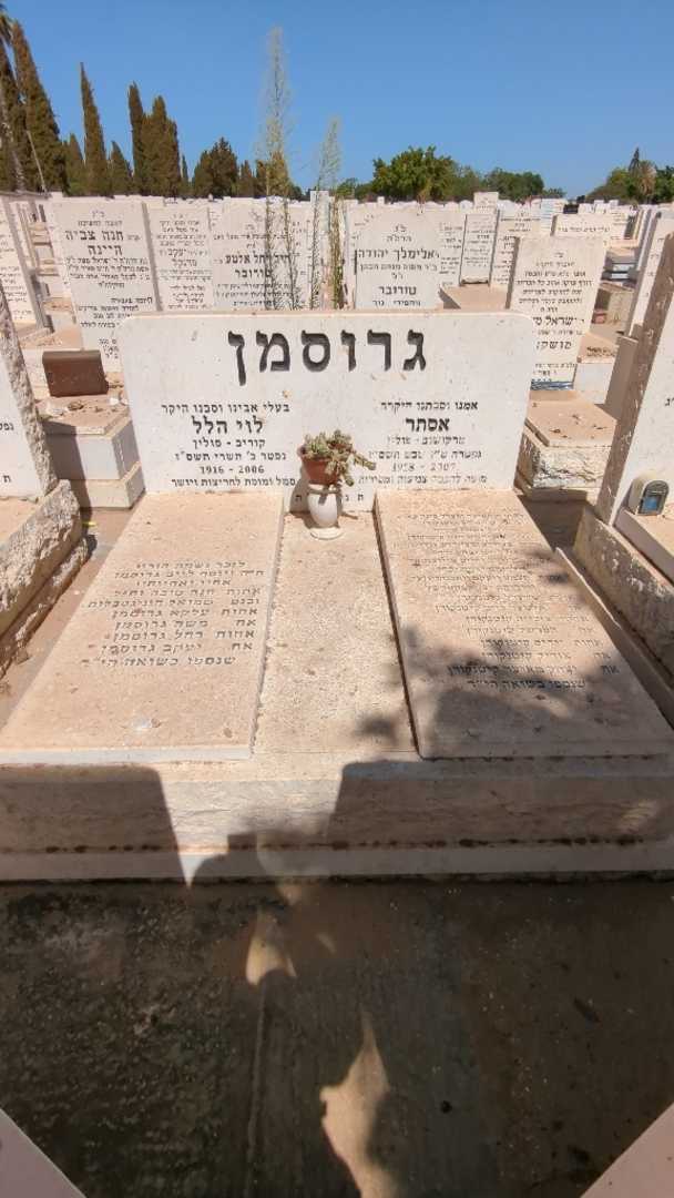 קברו של אסתר גרוסמן. תמונה 1