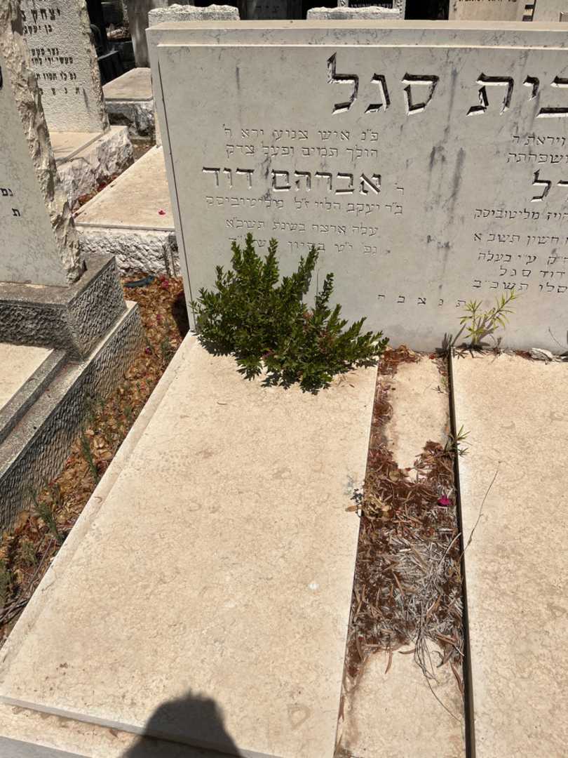 קברו של אברהם דוד בית סגל. תמונה 2