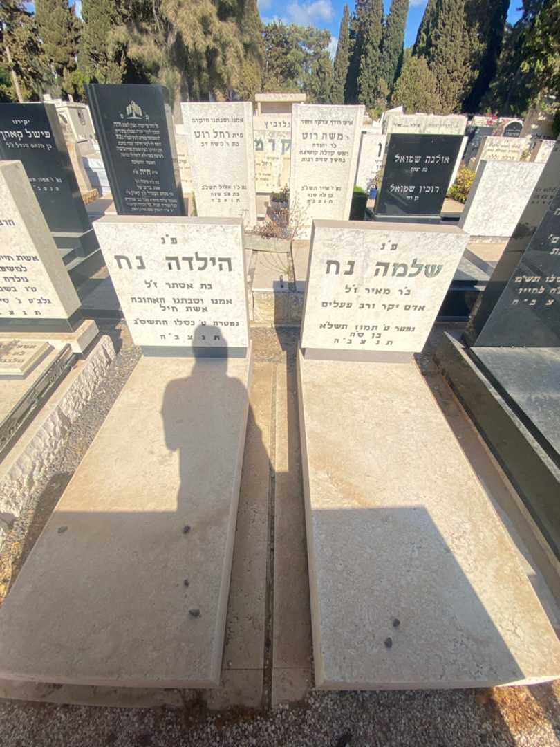 קברו של שלמה נח. תמונה 2