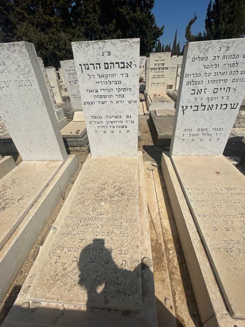 קברו של אברהם הרמן. תמונה 2