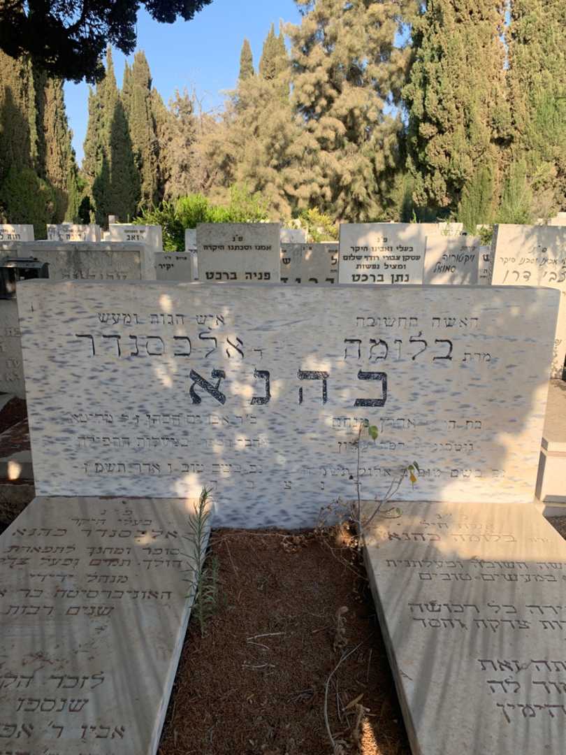 קברו של אלכסנדר כהנא. תמונה 1