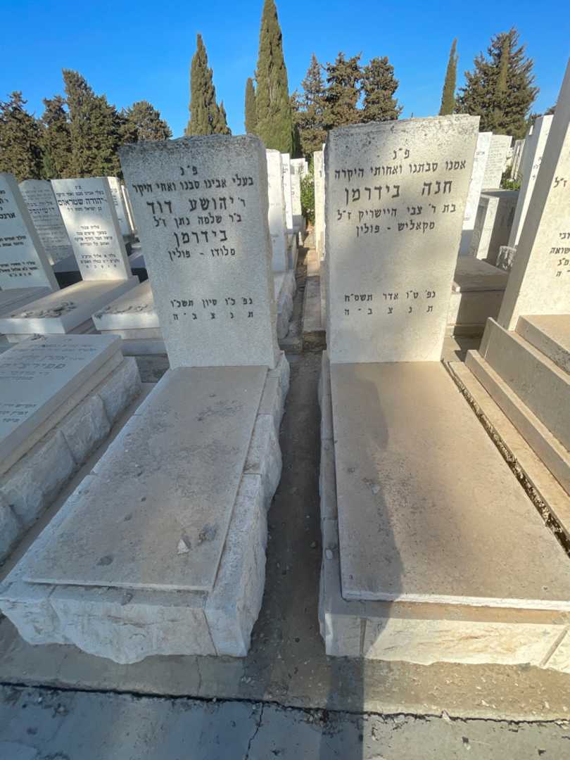 קברו של חנה בידרמן. תמונה 1