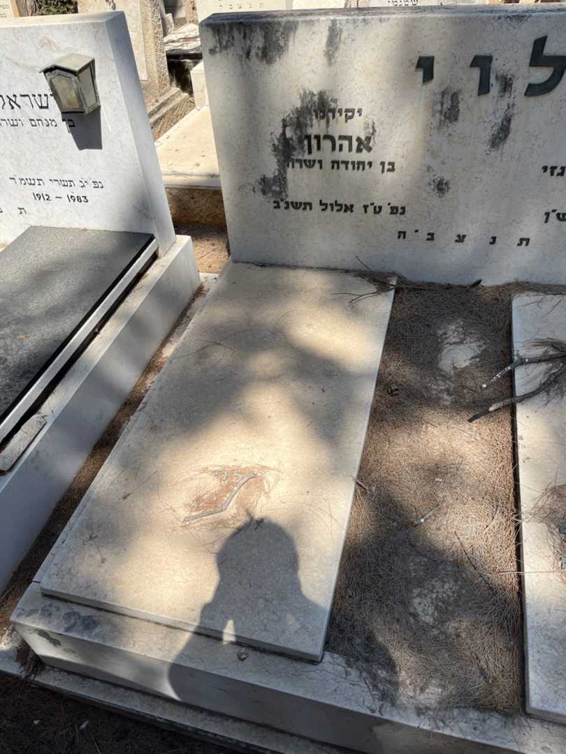 קברו של אהרון לוי. תמונה 2