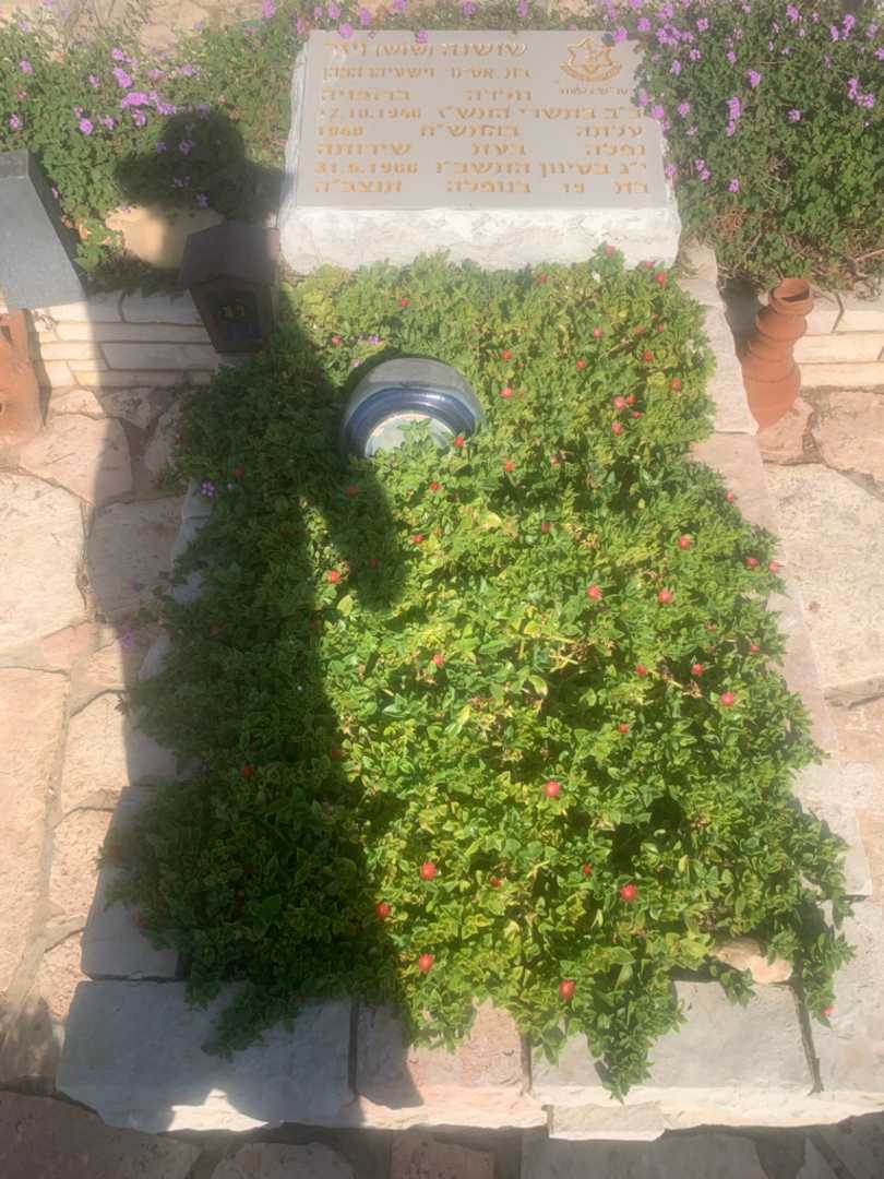 קברו של שושנה "שוש" ויזר