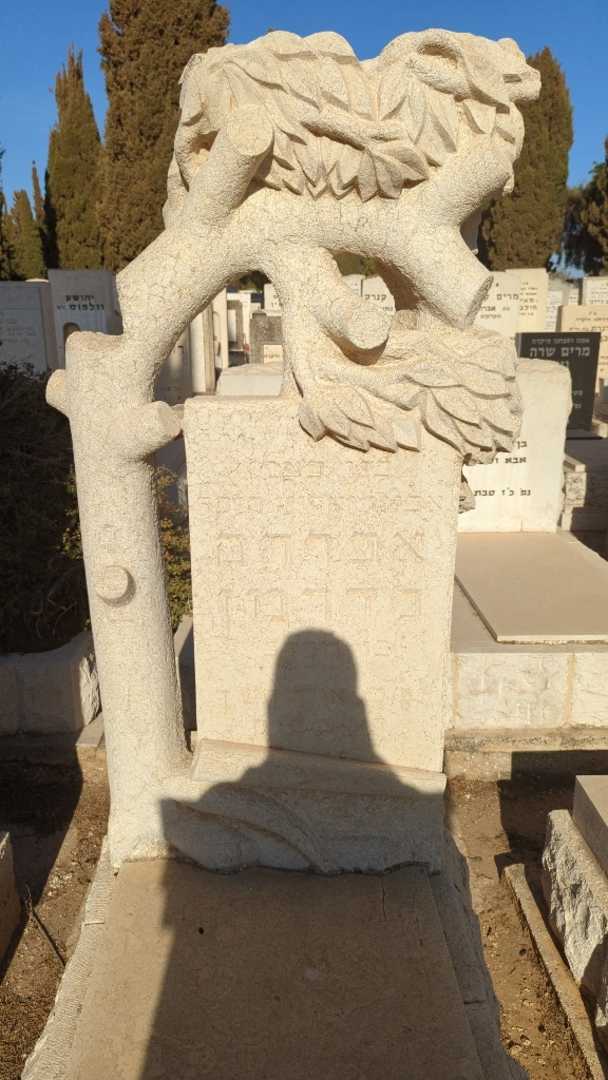 קברו של אברהם לדרמן. תמונה 1
