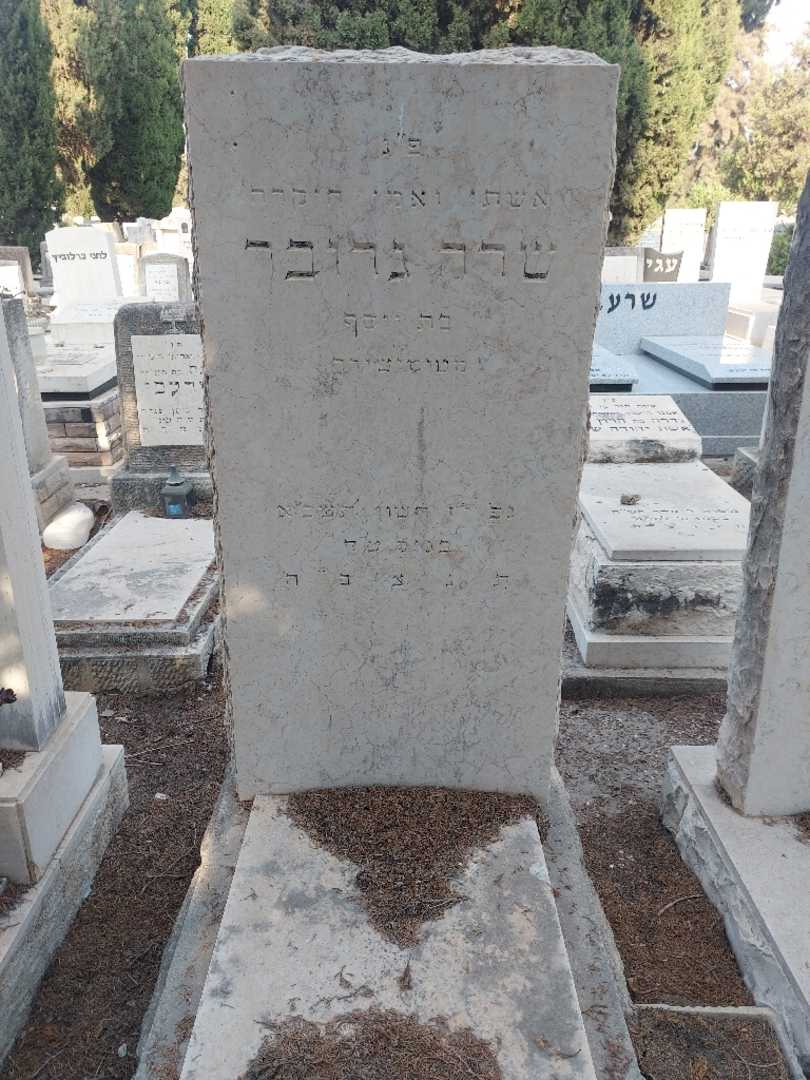 קברו של שרה גרובר