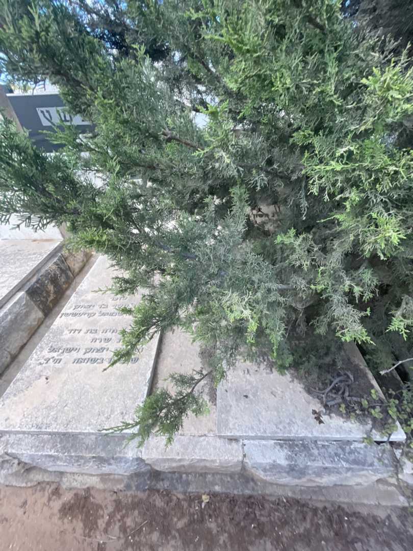 קברו של אליעזר בינשטוק. תמונה 1
