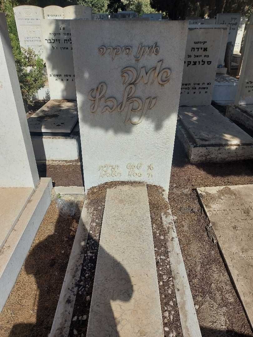 קברו של אמא ינקלביץ