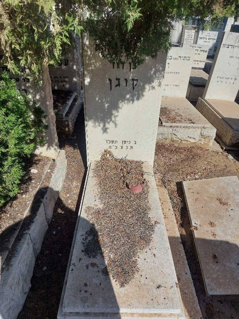 קברו של בן דוד קוגן