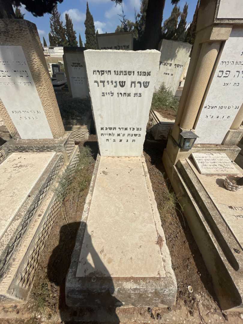 קברו של שרה שניידר