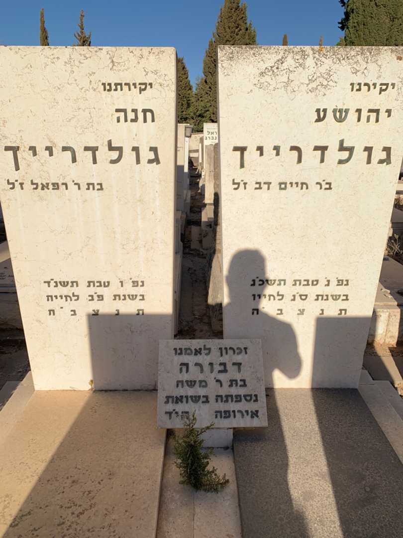 קברו של יהושע גולדרייך. תמונה 1