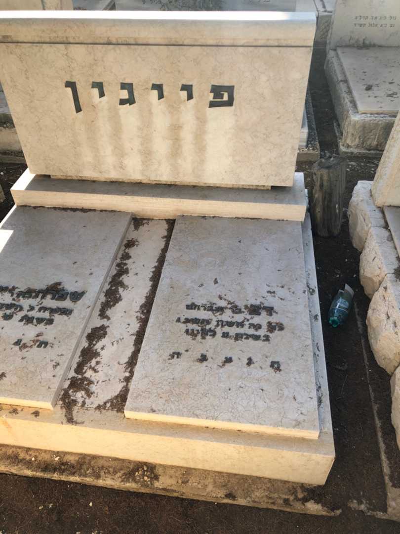 קברו של דב פייגין. תמונה 1