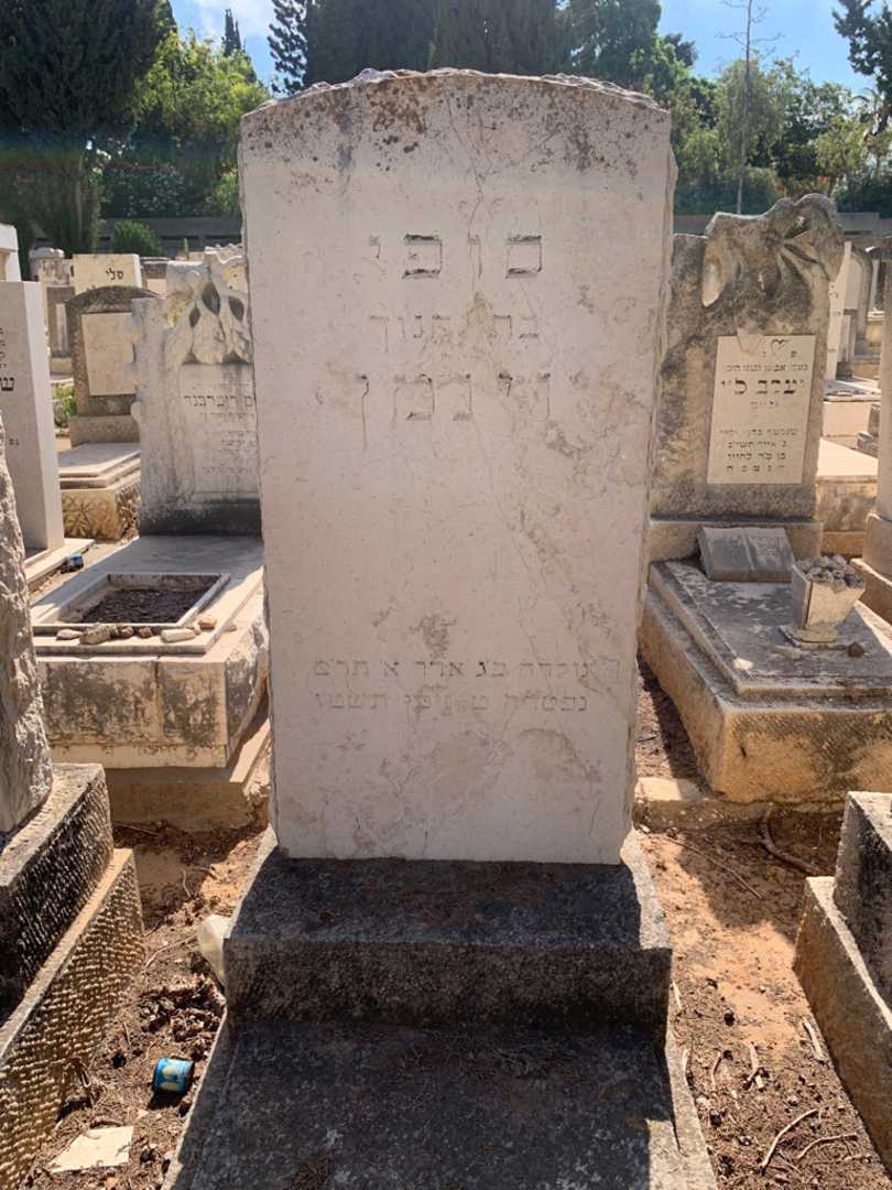קברו של סופי וינמן