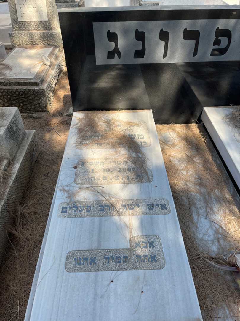 קברו של משה אפרים שפרונג. תמונה 1