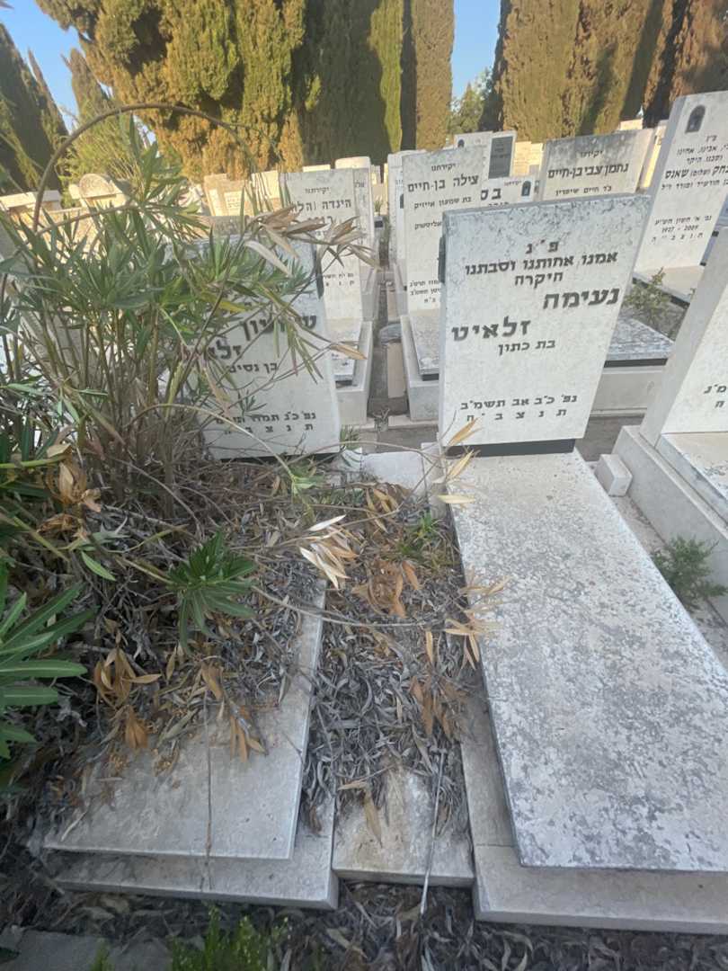 קברו של שמעון זלאיט. תמונה 1