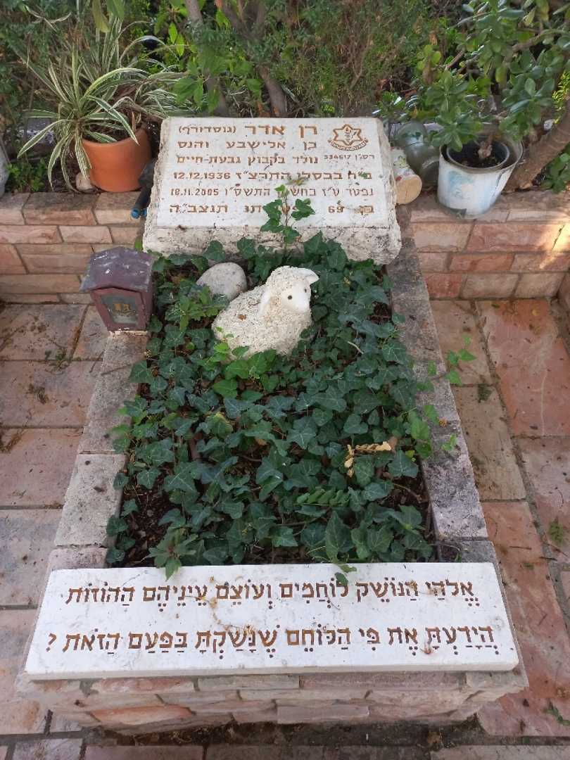 קברו של רן אדר (גוסדורף)